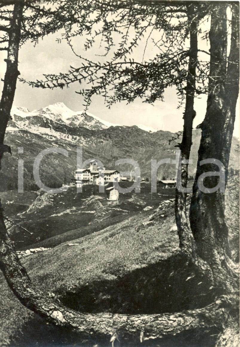 Cartolina originale da collezione 1960 CAMPODOLCINO SO Casa alpina di MOTTA e panorama della VALLE SPLUGA FG VG 1