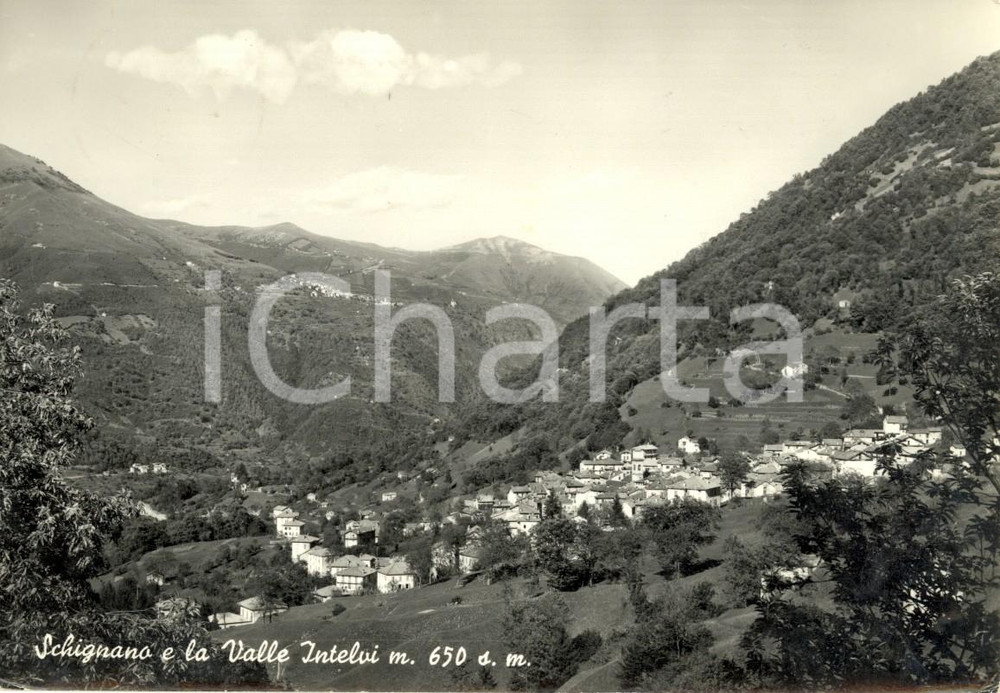 Cartolina originale da collezione 1959 SCHIGNANO (CO) Panorama del paese e della Valle INTELVI *Cartolina FG VG 1