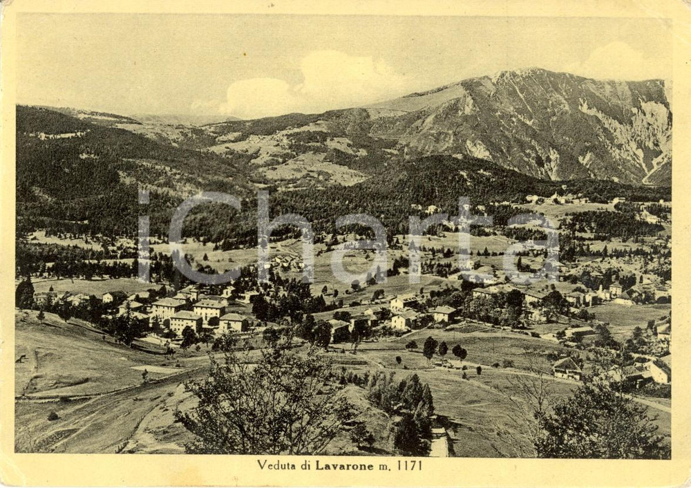 Cartolina originale da collezione 1950 LAVARONE (TN) Veduta panoramica del paese e della vallata *Cartolina FG VG 1