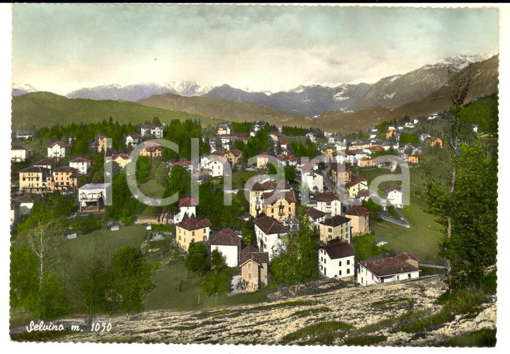 Cartolina originale da collezione 1959 SELVINO BG Veduta panoramica del paese Cartolina postale FG VG 1