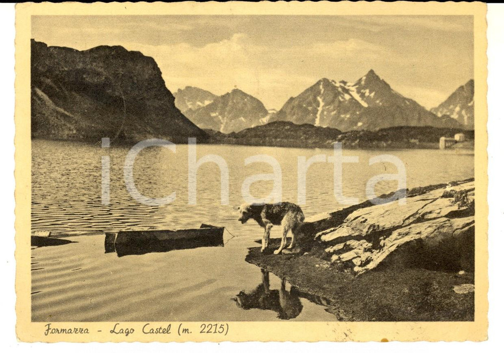 Cartolina originale da collezione 1954 FORMAZZA (VB) Veduta del lago Castel *Cartolina animata con cane FG VG 1