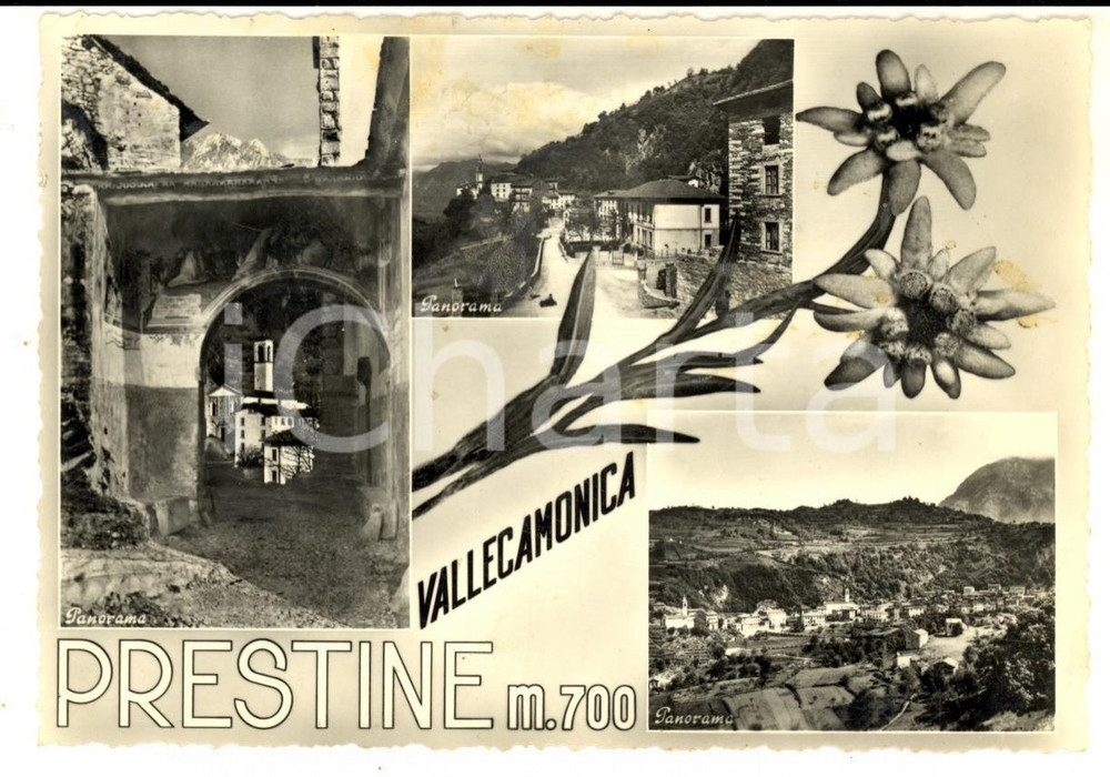 Cartolina originale da collezione 1956 PRESTINE (BS) VALLE CAMONICA - Vedutine panoramiche *Cartolina FG VG 1