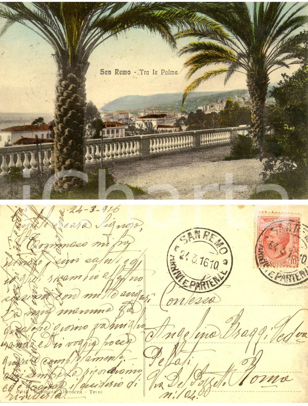 Cartolina originale da collezione 1916 SANREMO IM Tra le palme Cartolina a contessa Angelina BRAGGI PELLATI 1