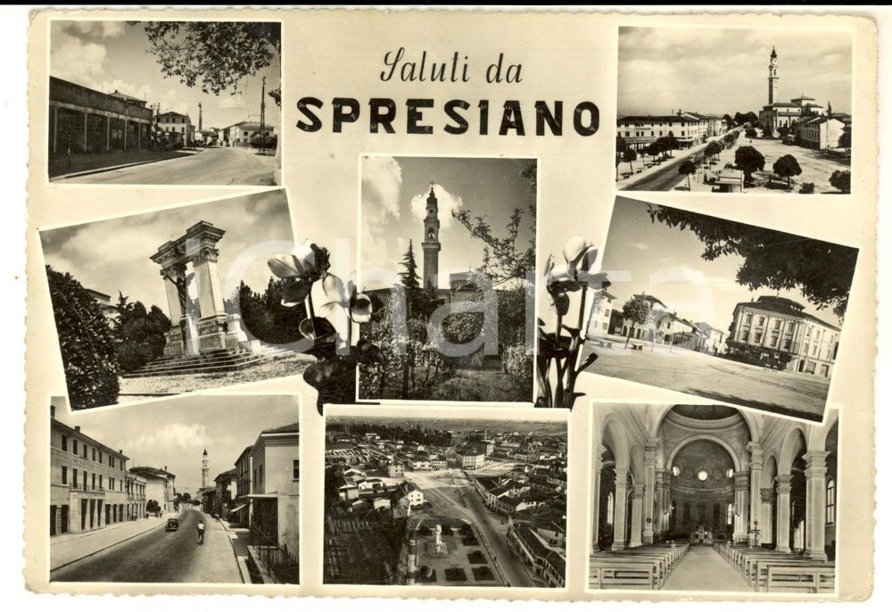 Cartolina originale da collezione 1954 SPRESIANO (TV) Vedutine con chiesa e monumento ai Caduti *Cartolina FG VG 1