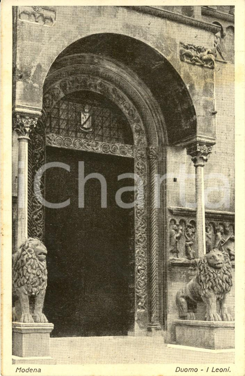 Cartolina originale da collezione 1926 MODENA I Leoni dell ingresso del DUOMO Cartolina postale FP VG 1