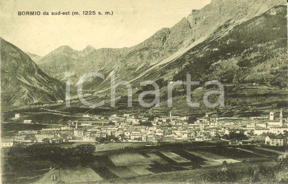 Cartolina originale da collezione 1925 ca BORMIO (SO) Veduta paese e vallata da sud-est *Cartolina postale FP NV 1