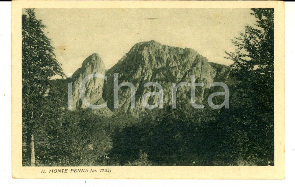 Cartolina originale da collezione 1930 ca MONTE PENNA (GE) Panorama con la vetta *Cartolina postale FP NV 1