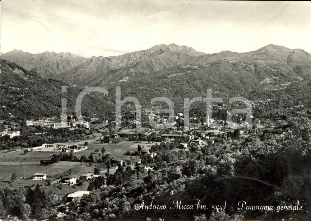 Cartolina originale da collezione 1950 ca ANDORNO MICCA BI Panorama generale paese e vallata Cartolina FG VG 1