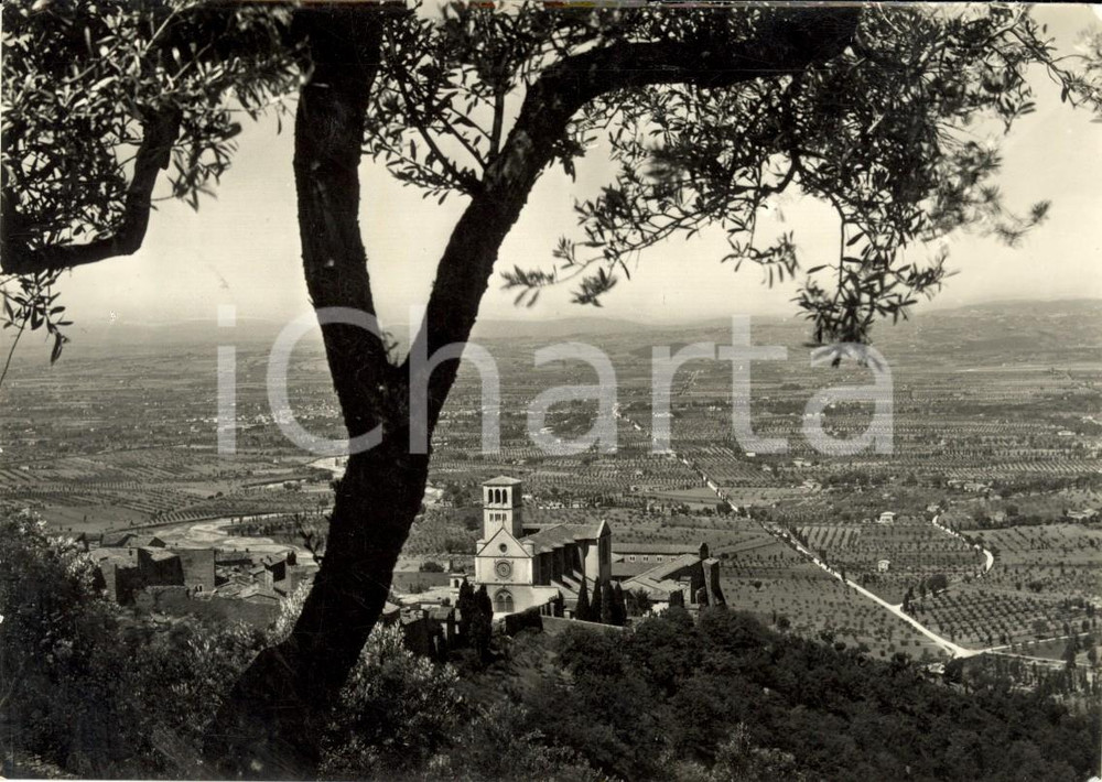 Cartolina originale da collezione 1950 ASSISI (PG) Chiesa di SAN FRANCESCO e campagna umbra *Cartolina FG VG 1