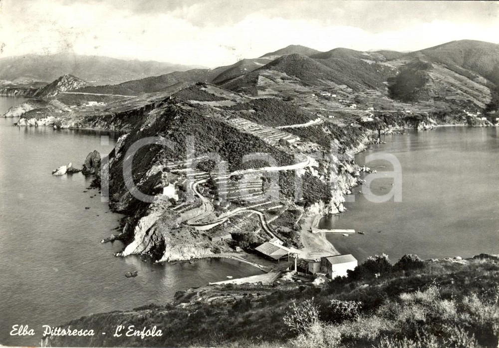 Cartolina originale da collezione 1961 ISOLA D'ELBA (LI) Veduta della spiaggia dell'ENFOLA *Cartolina FG VG 1