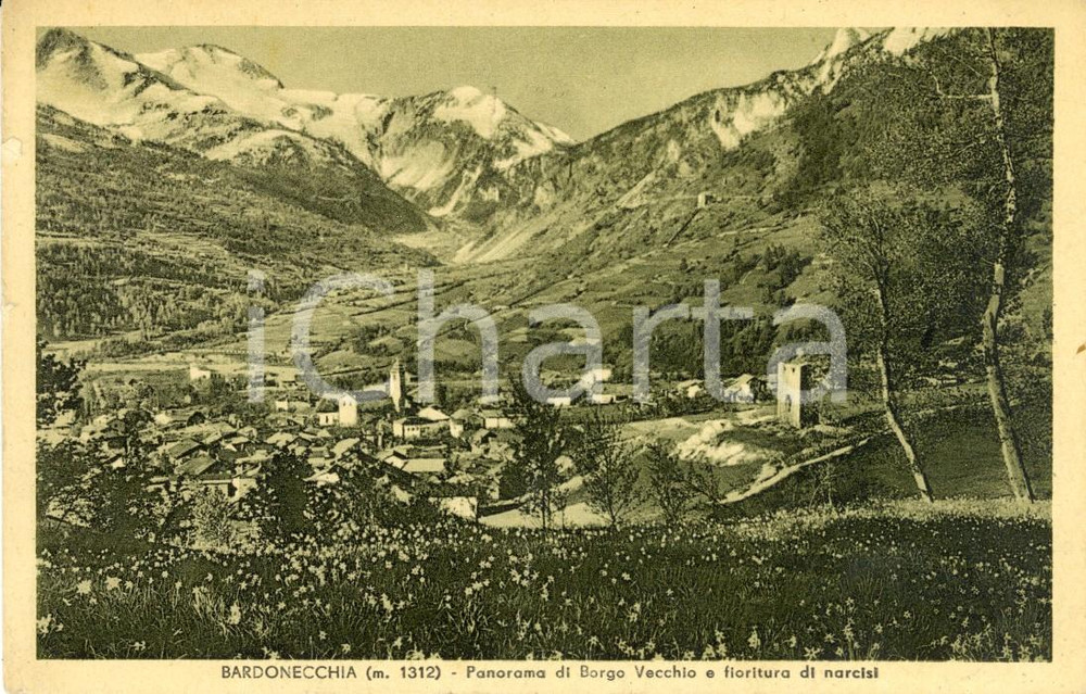 Cartolina originale da collezione 1950 BARDONECCHIA TO Panorama BORGO VECCHIO e fioritura narcisi Cartolina VG 1