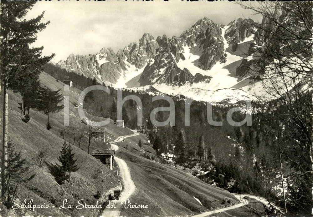 Cartolina originale da collezione 1960 ca SCHILPARIO (BG) Strada del VIVIONE e montagne innevate *Cartolina FG NV 1