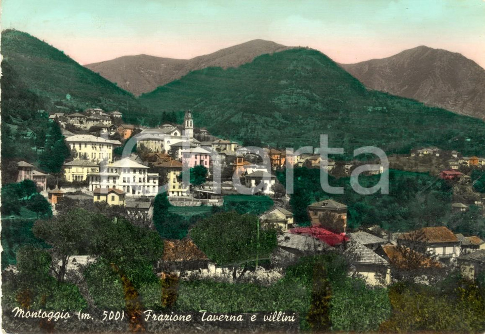 Cartolina originale da collezione 1956 MONTOGGIO GE Veduta della frazione TAVERNA con villini Cartolina FG VG 1