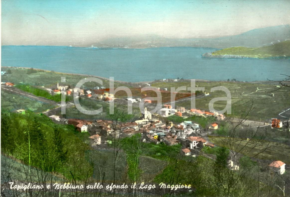 Cartolina originale da collezione 1964 NEBBIUNO (NO) Veduta frazione TAPIGLIANO con Lago MAGGIORE *Cartolina FG VG 1