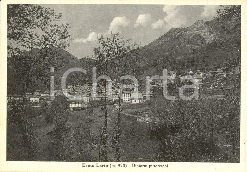 Cartolina originale da collezione 1940 ca ESINOLARIO LC Veduta del paese e dei dintorni Cartolina FG VG 1