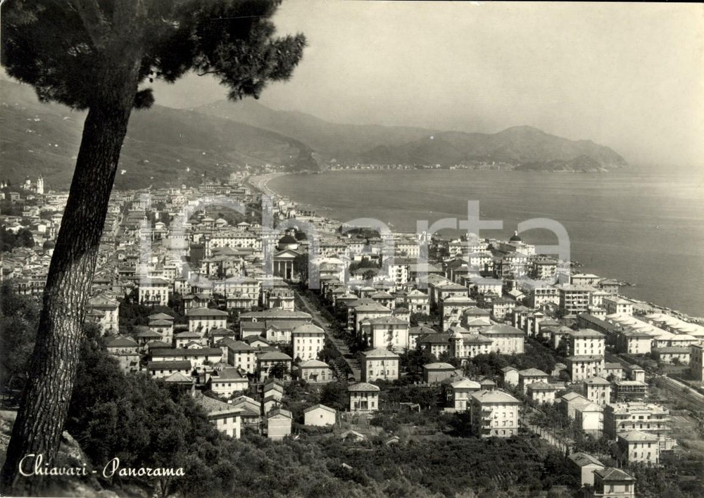 Cartolina originale da collezione 1950 ca CHIAVARI (GE) Panorama del paese e del lungomare *Cartolina FG NV 1