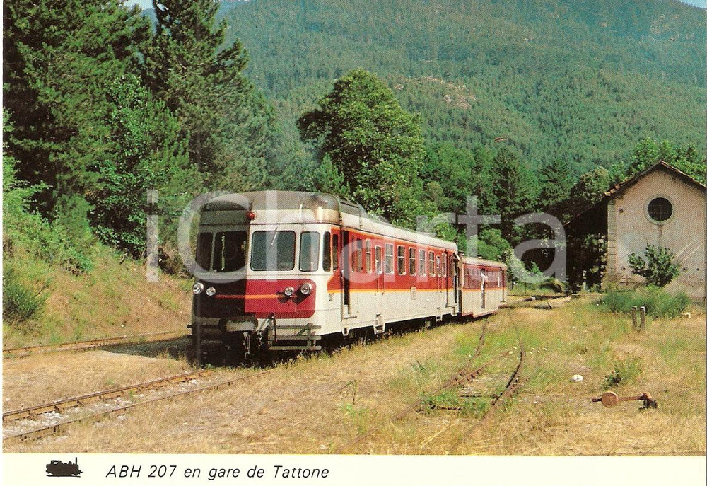 Cartolina originale da collezione 1982 VIVARIO CORSICA Autorail RENAULT ABH 207 Stazione di TATTONE Cartolina 1