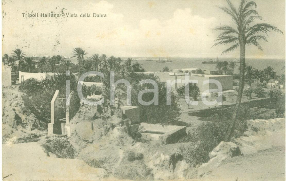 Cartolina originale da collezione 1909 TRIPOLI DI BARBERIA Veduta della cittÃ  dalla DAHRA *Cartolina FP VG 1