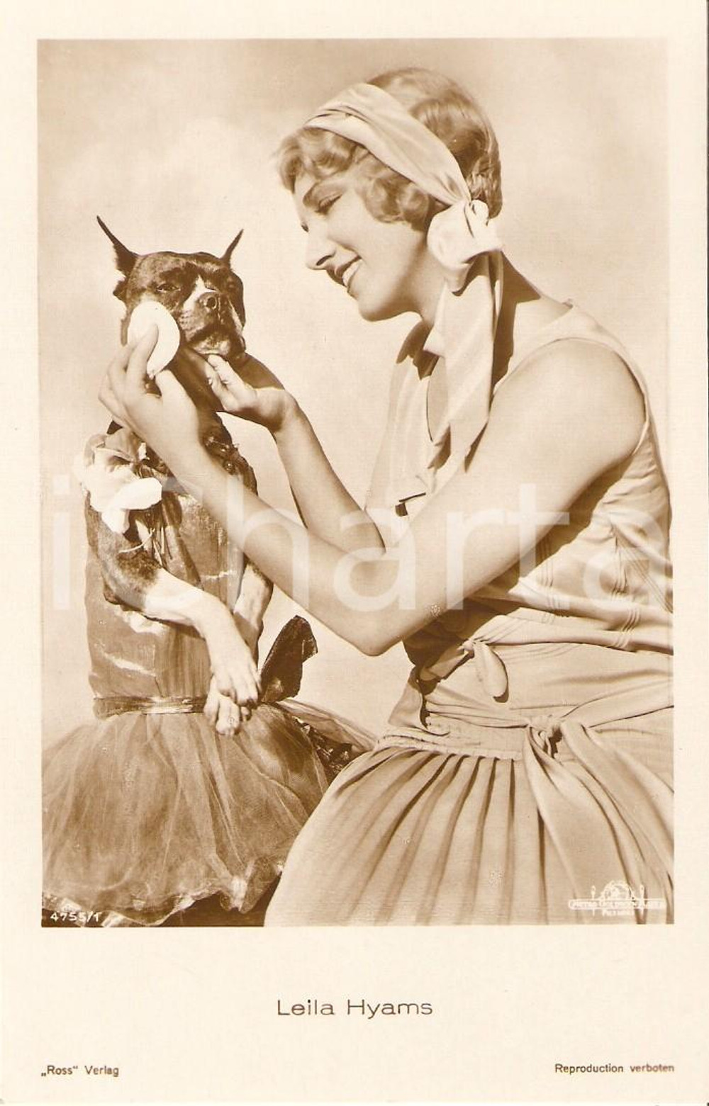 Cartolina originale da collezione 1930 ca CINEMA Leila HYAMS incipria cane vestito da ballerina *Cartolina FP NV 1