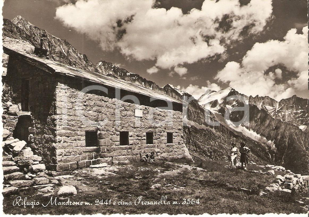 Cartolina originale da collezione 1954 VAL RENDENA (TN) Rifugio MANDRONE e Cima Presanella ANIMATA Cartolina FG NV 1
