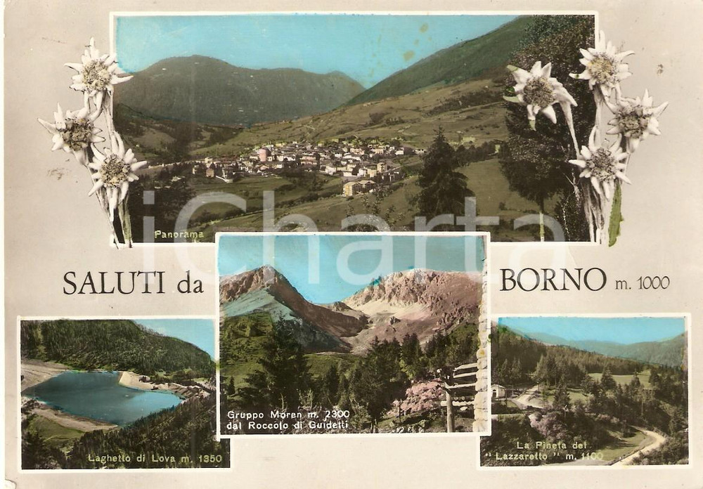Cartolina originale da collezione 1960 BORNO BS Vedutine Laghetto di LOVA Pineta del LAZZARETTO Cartolina FG NV 1