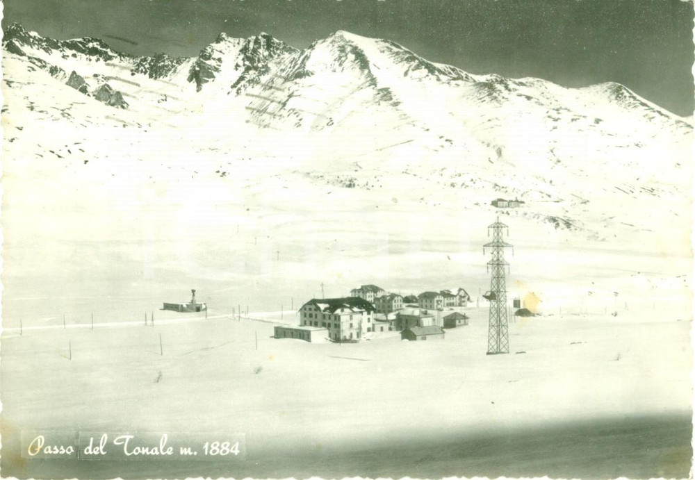 Cartolina originale da collezione 1957 PASSO DEL TONALE (TN) Alberghi e Nuovo Bazar *Cartolina FG VG 1