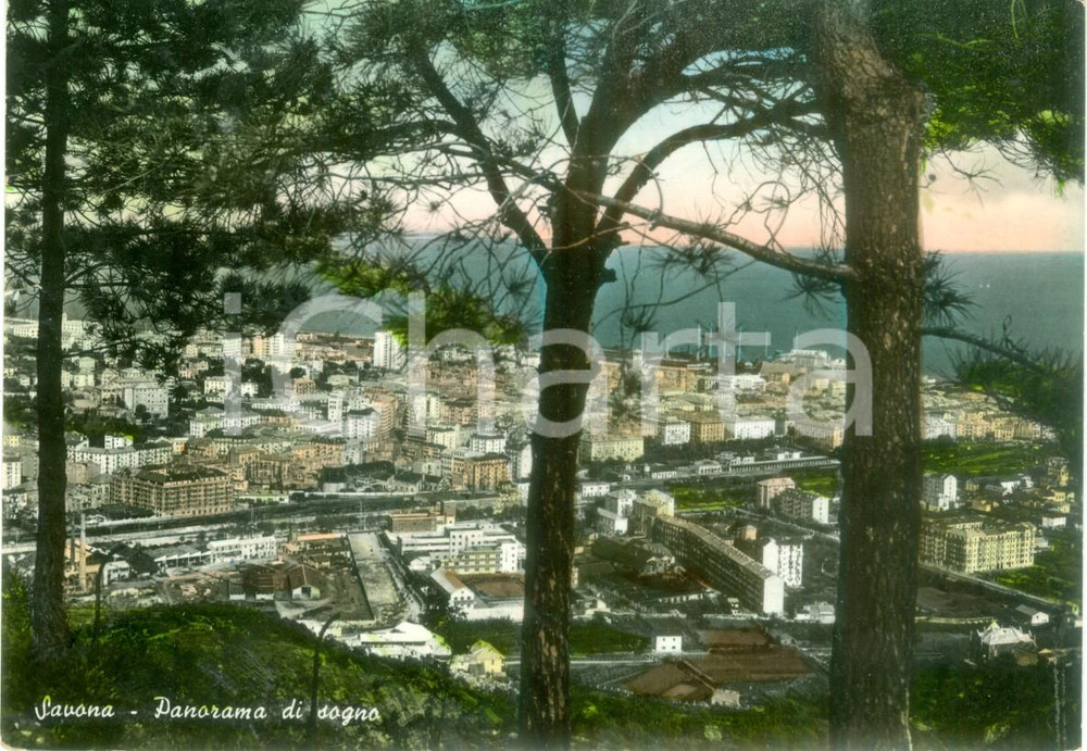 Cartolina originale da collezione 1952 SAVONA Panorama della cittÃ  dai boschi *Cartolina FG VG 1