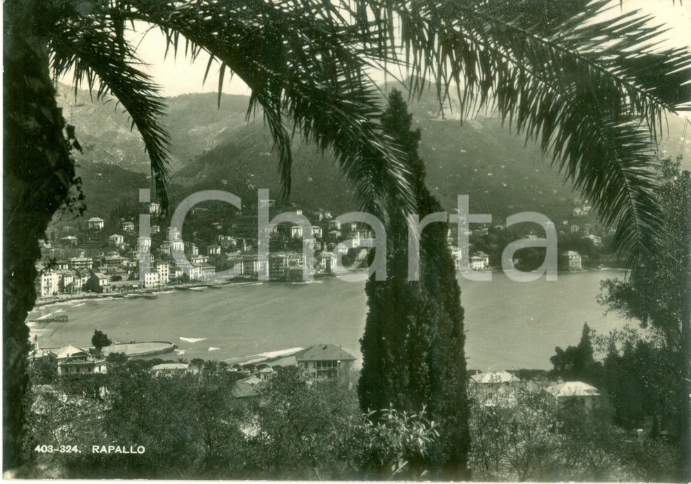 Cartolina originale da collezione 1949 RAPALLO (GE) Panorama della cittÃ  dai boschi *Cartolina FG VG 1