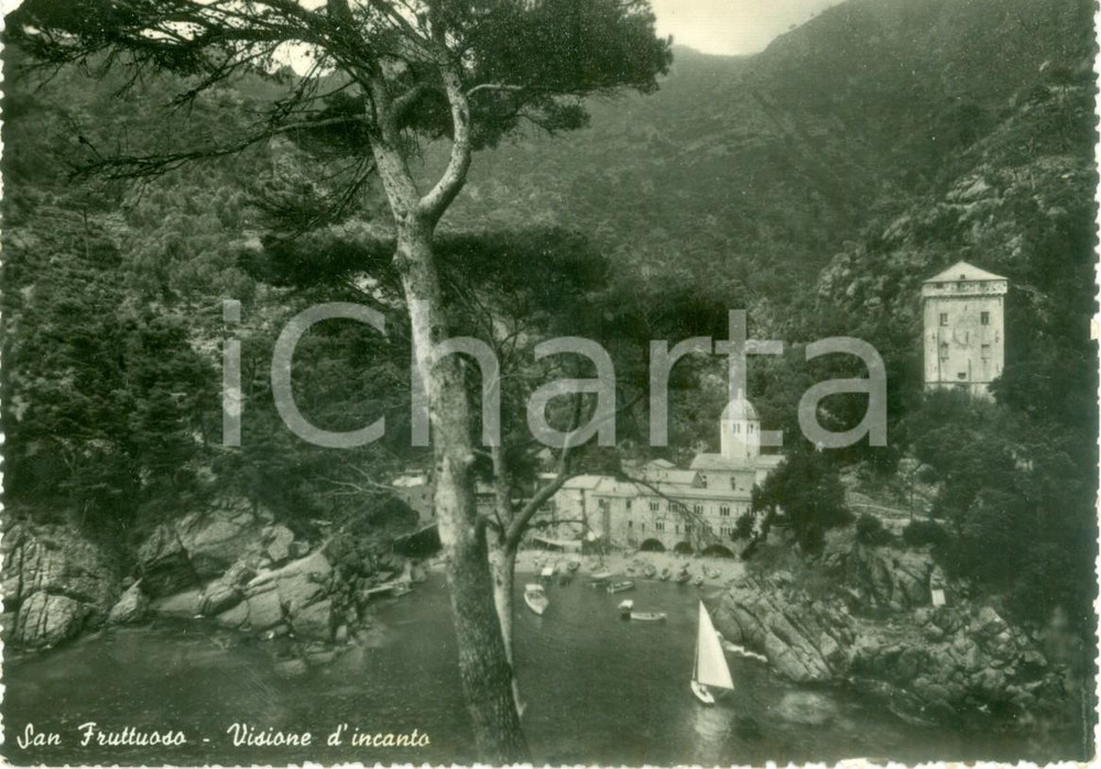 Cartolina originale da collezione 1952 SAN FRUTTUOSO DI CAMOGLI Veduta Abbazia e porticciolo Cartolina FG VG 1