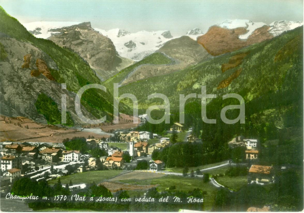 Cartolina originale da collezione 1955 ca CHAMPOLUC (AO) La vallata e il MONTE ROSA *Cartolina FG NV 1