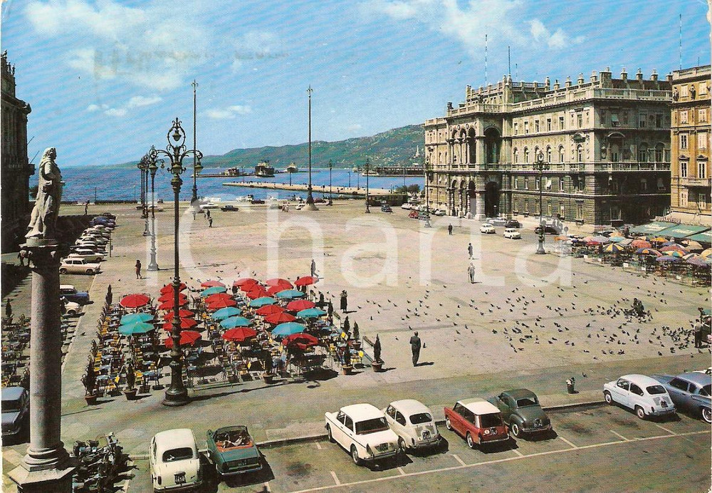 Cartolina originale da collezione 1965 TRIESTE Automobili in PIAZZA DELL'UNITA' Animata *Cartolina FG NV 1