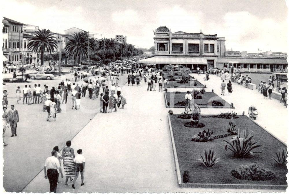 Cartolina originale da collezione 1955 ca VIAREGGIO (LU) Veduta dei viali del LUNGOMARE *Cartolina ANIMATA FG VG 1