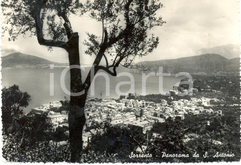 Cartolina originale da collezione 1950 SORRENTO NA Panorama da SANT ANTONIO Cartolina postale FG VG 1