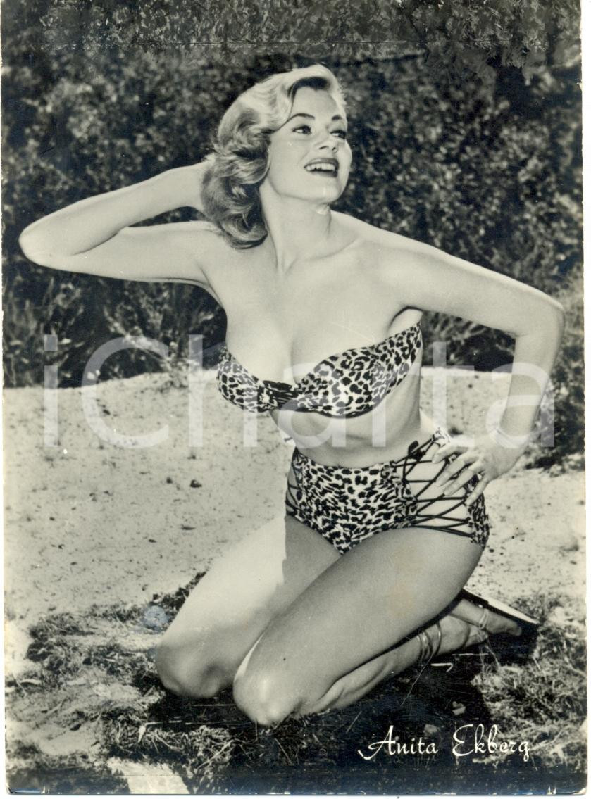 Cartolina originale da collezione 1955 ca Anita EKBERG in costume da bagno leopardato *Cartolina FG NV 1
