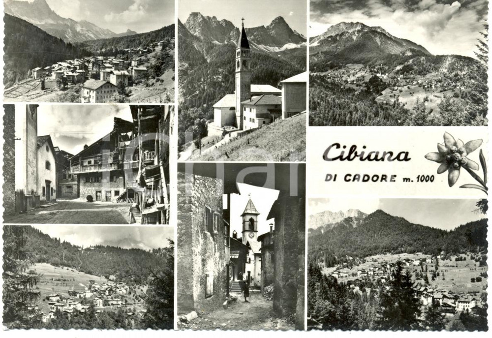 Cartolina originale da collezione 1954 CIBIANA DI CADORE (BL) Vedutine centro storico e catena ALPI *Cartolina 1