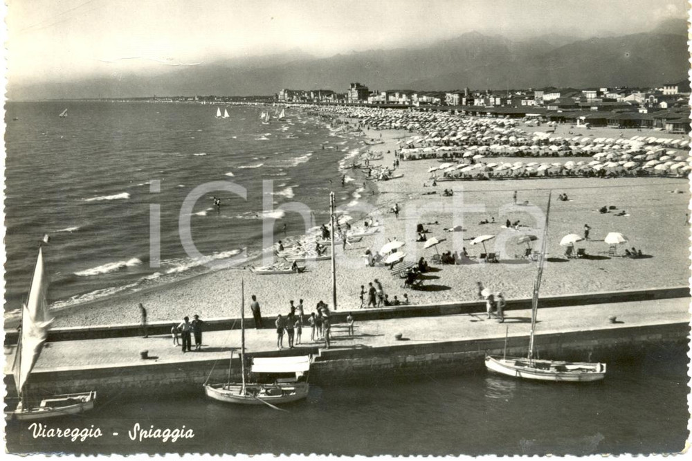 Cartolina originale da collezione 1953 VIAREGGIO (LU) Panorama della spiaggia con barche a vela *Cartolina FG VG 1