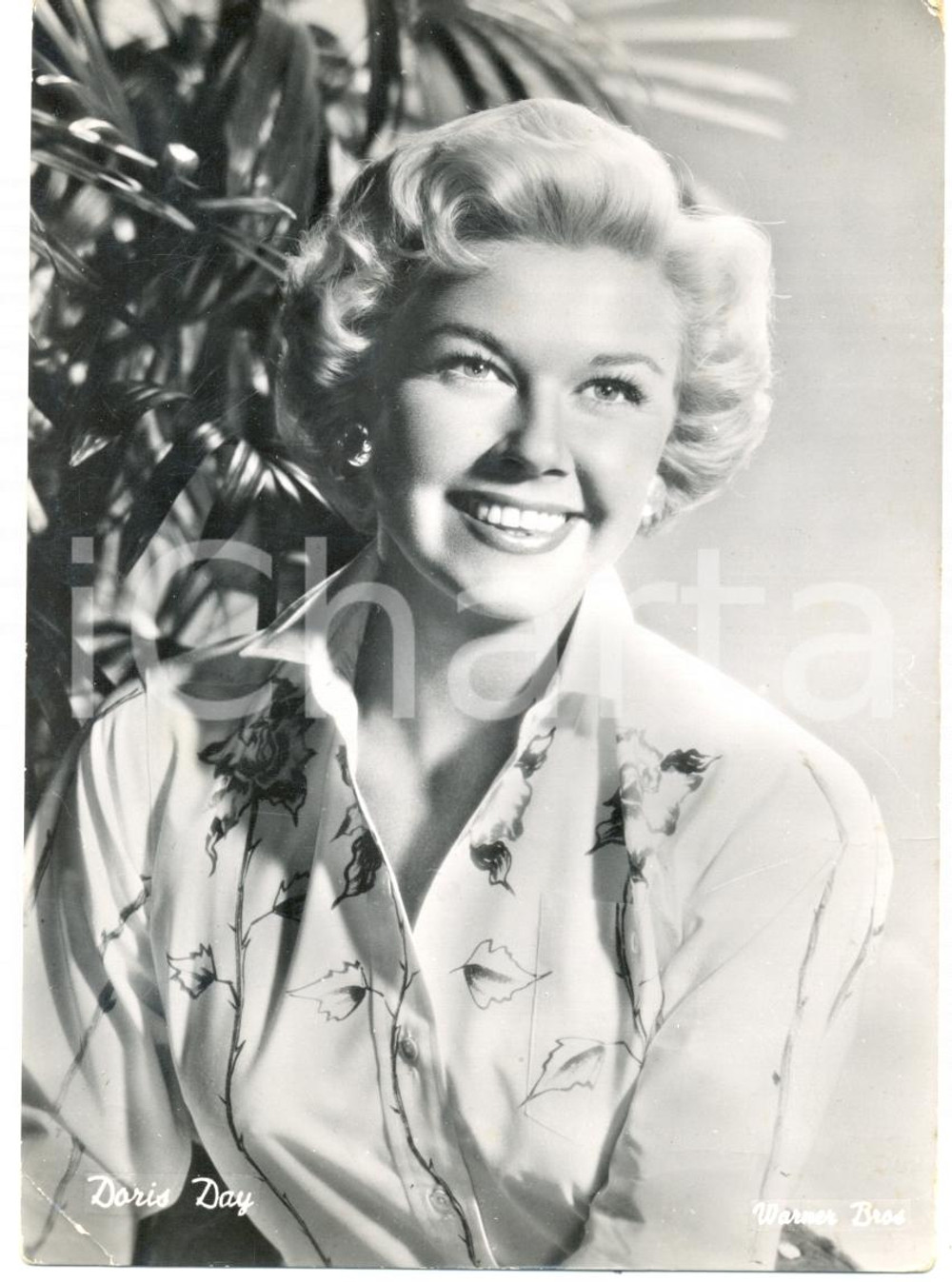 Cartolina originale da collezione 1950 ca CINEMA WARNER BROS Doris DAY Attrice Ritratto *Cartolina FG NV 1