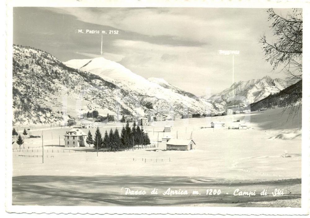 Cartolina originale da collezione 1950 ca PASSO DELL APRICA SO Campi sci Seggiovia Monte PEDRIO Cartolina FG NV 1