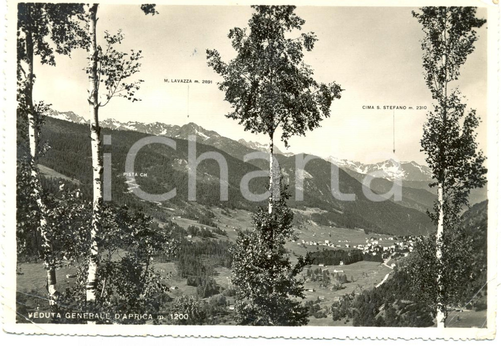 Cartolina originale da collezione 1953 PASSO DELL APRICA SO Veduta paese valle LAVAZZA Cima SANTO STEFANO FG VG 1