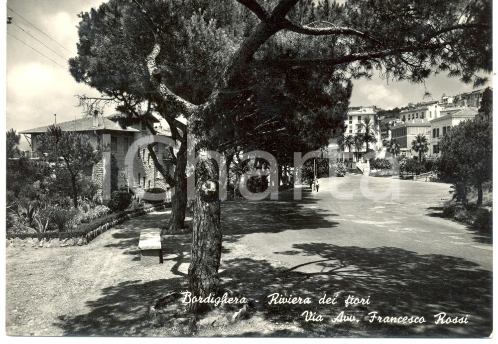Cartolina originale da collezione 1950 ca BORDIGHERA IM Via Avvocato Francesco ROSSI Cartolina FG VG 1