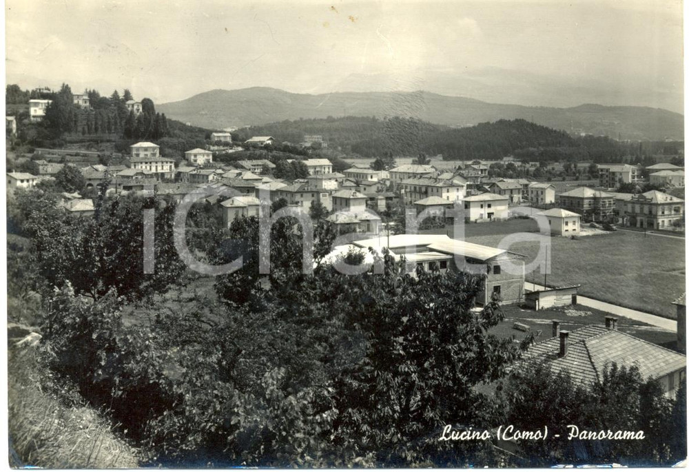 Cartolina originale da collezione 1960 LUCINO (CO) Veduta panoramica del paese *Cartolina FG VG 1