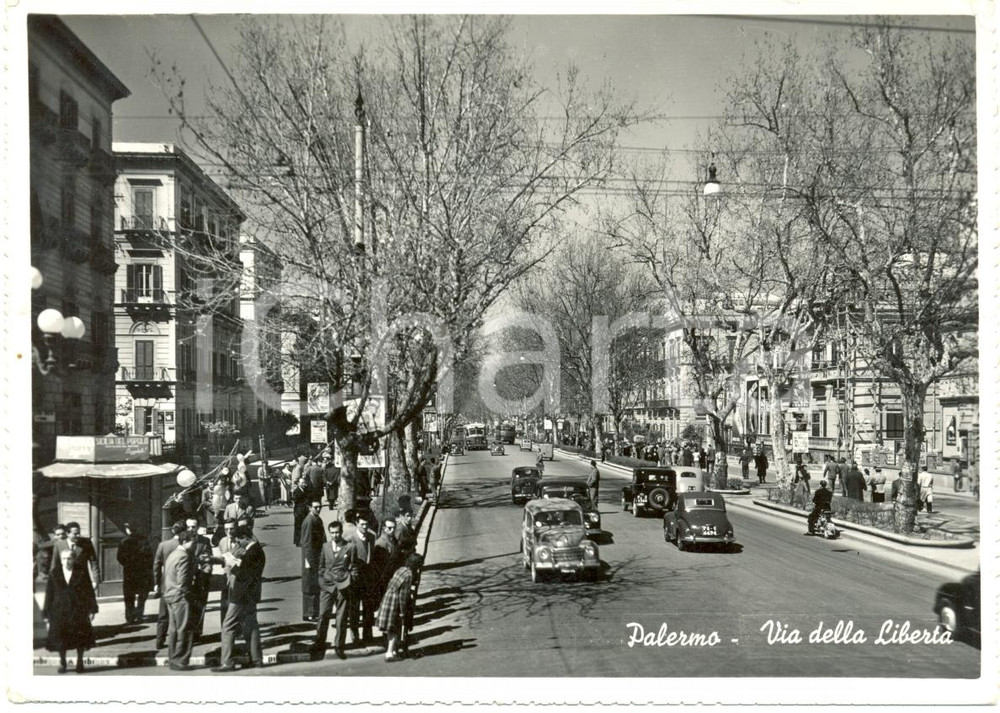 Cartolina originale da collezione 1955 PALERMO Automobili e Autobus in via della LIBERTA' *Cartolina ANIMATA FG VG 1