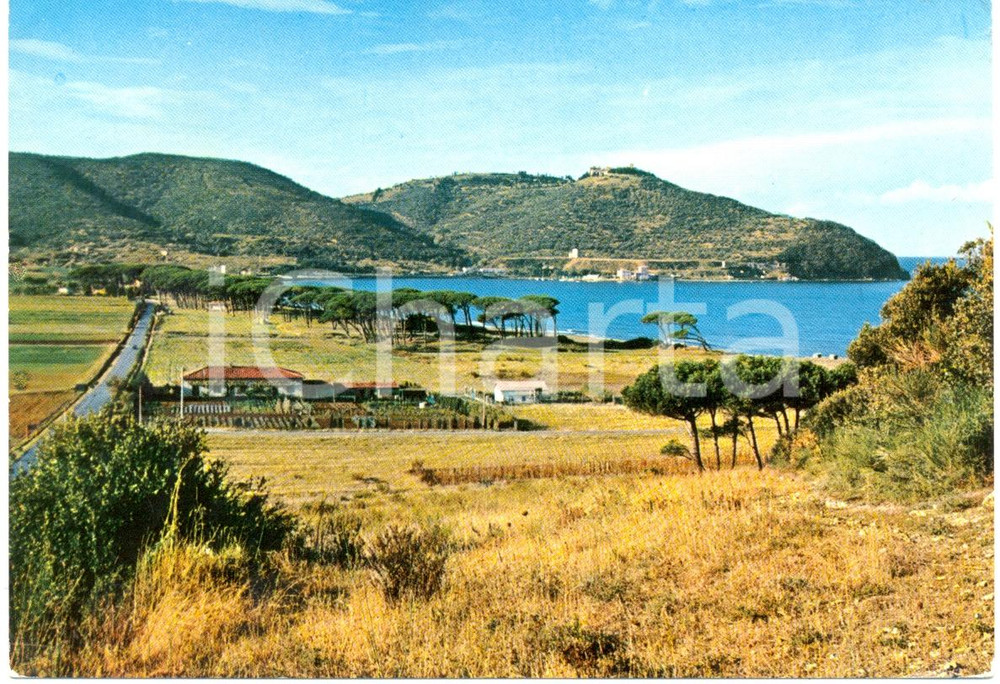 Cartolina originale da collezione 1965 ca. POPULONIA (LI) Panorama GOLFO DI BARATTI *Cartolina FG VG 1