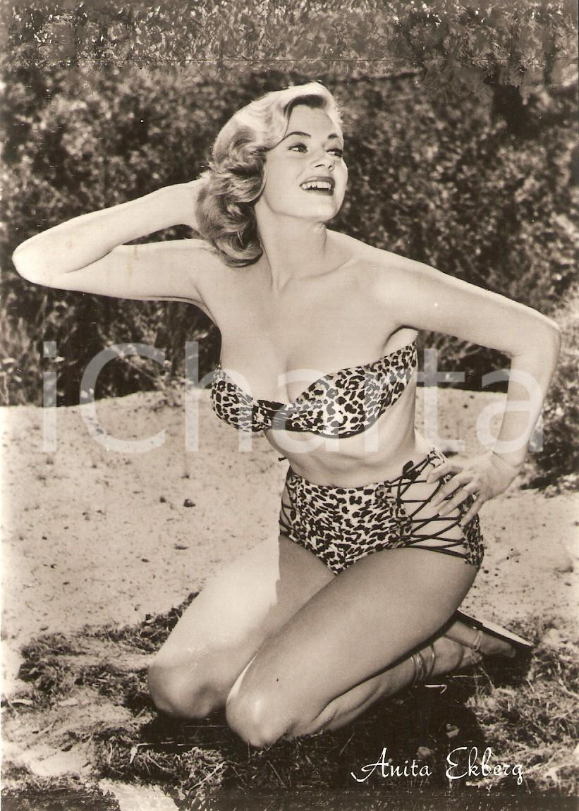 Cartolina originale da collezione 1955 ca CINEMA Actress Anita EKBERG wears spotted bikini *Cartolina FG NV 1