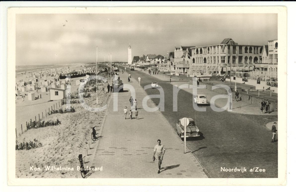 Cartolina originale da collezione 1956 NOORDWIJK aan Zee (Netherlands) Koningin WILHELMINA Boulevard Cartolina FP 1