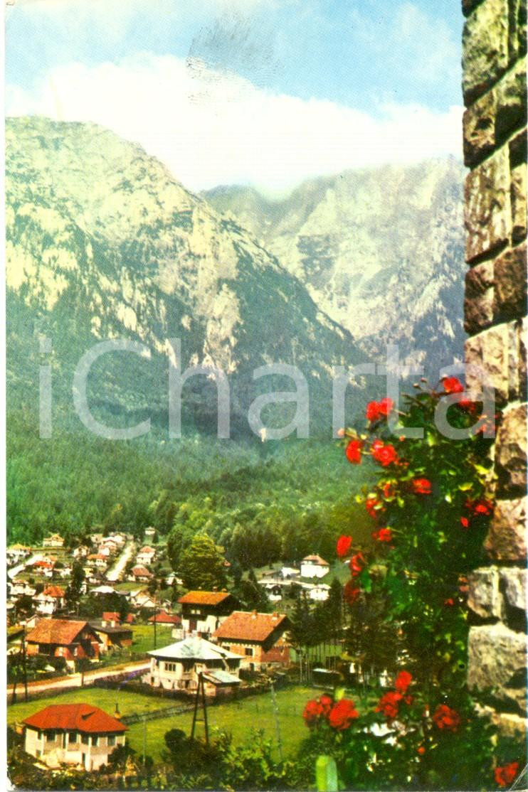 Cartolina originale da collezione 1967 BUSTENI RO Scorcio del paese tra i monti Cartolina postale FP VG 1