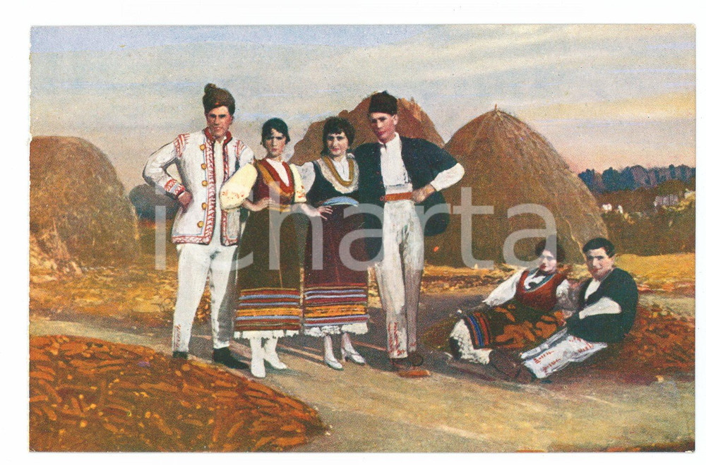 Cartolina originale da collezione 1915 BULGARIA costumi, raccolta del granoturco FP 1