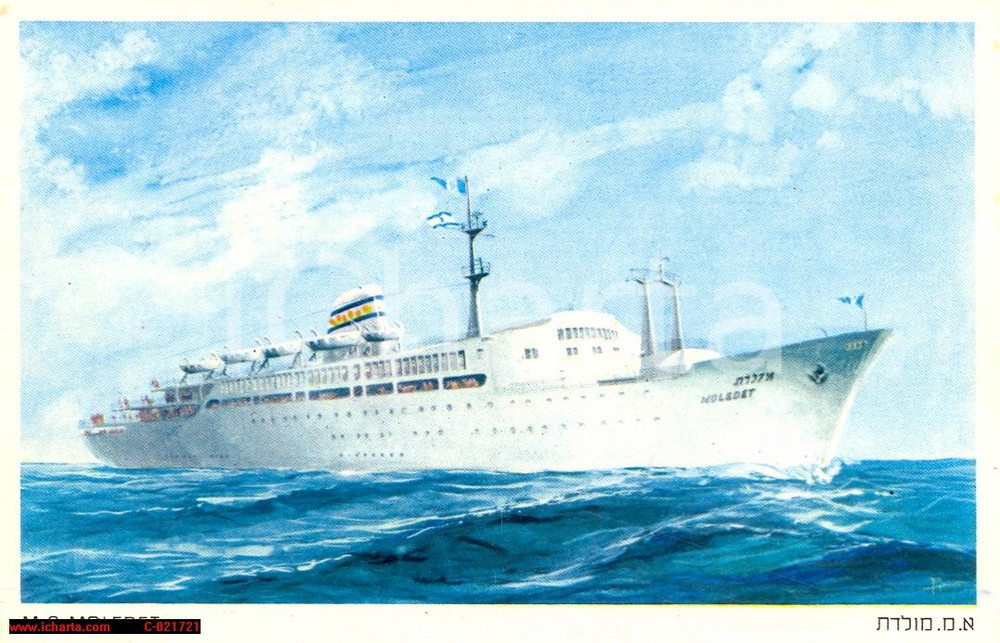 Cartolina originale da collezione 1960 M.S. MOLEDET Zim Israel Navigation CO LTD 1
