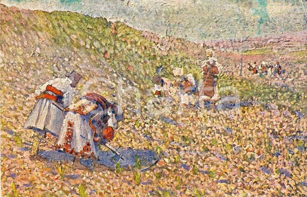 Cartolina originale da collezione 1928 ALFONSO CORRADI  Macedonia FP VG Sanremo 1