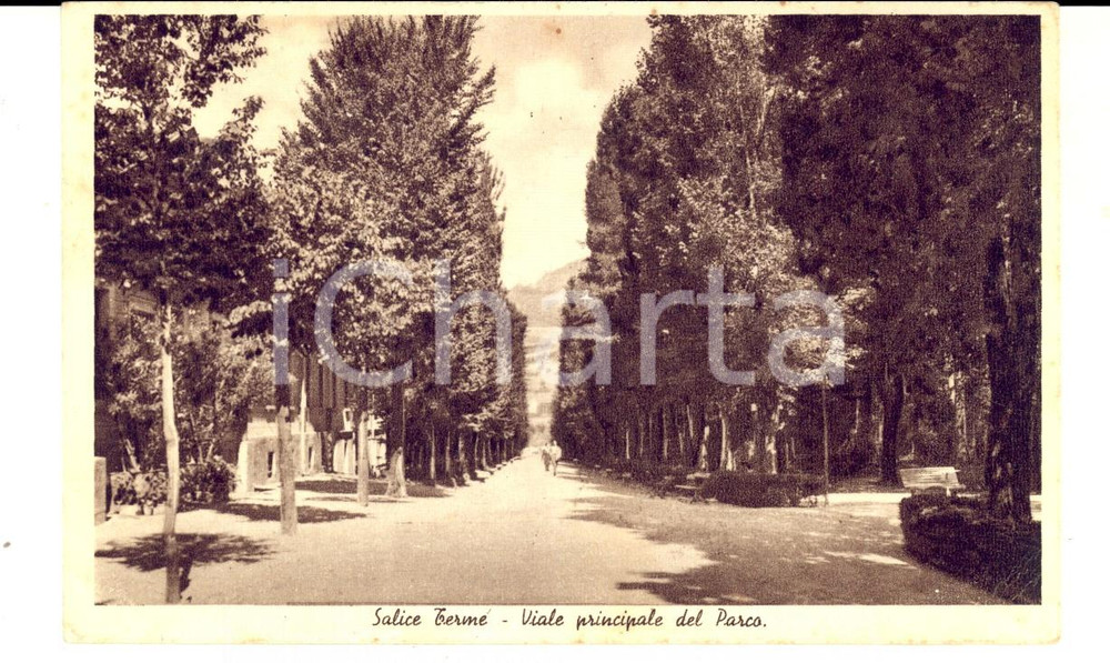 Cartolina originale da collezione 1944 SALICE TERME (PV) Viale principale del Parco *Cartolina postale FP VG 1